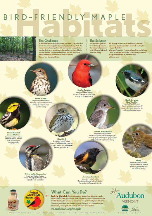 Bird Friendly Counter Card