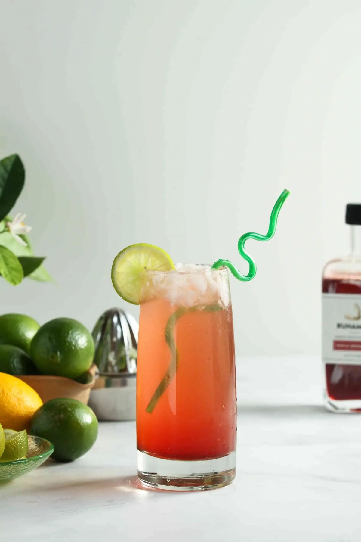 Runamok Maple Syrup - Cocktail Mixers Collection- 4