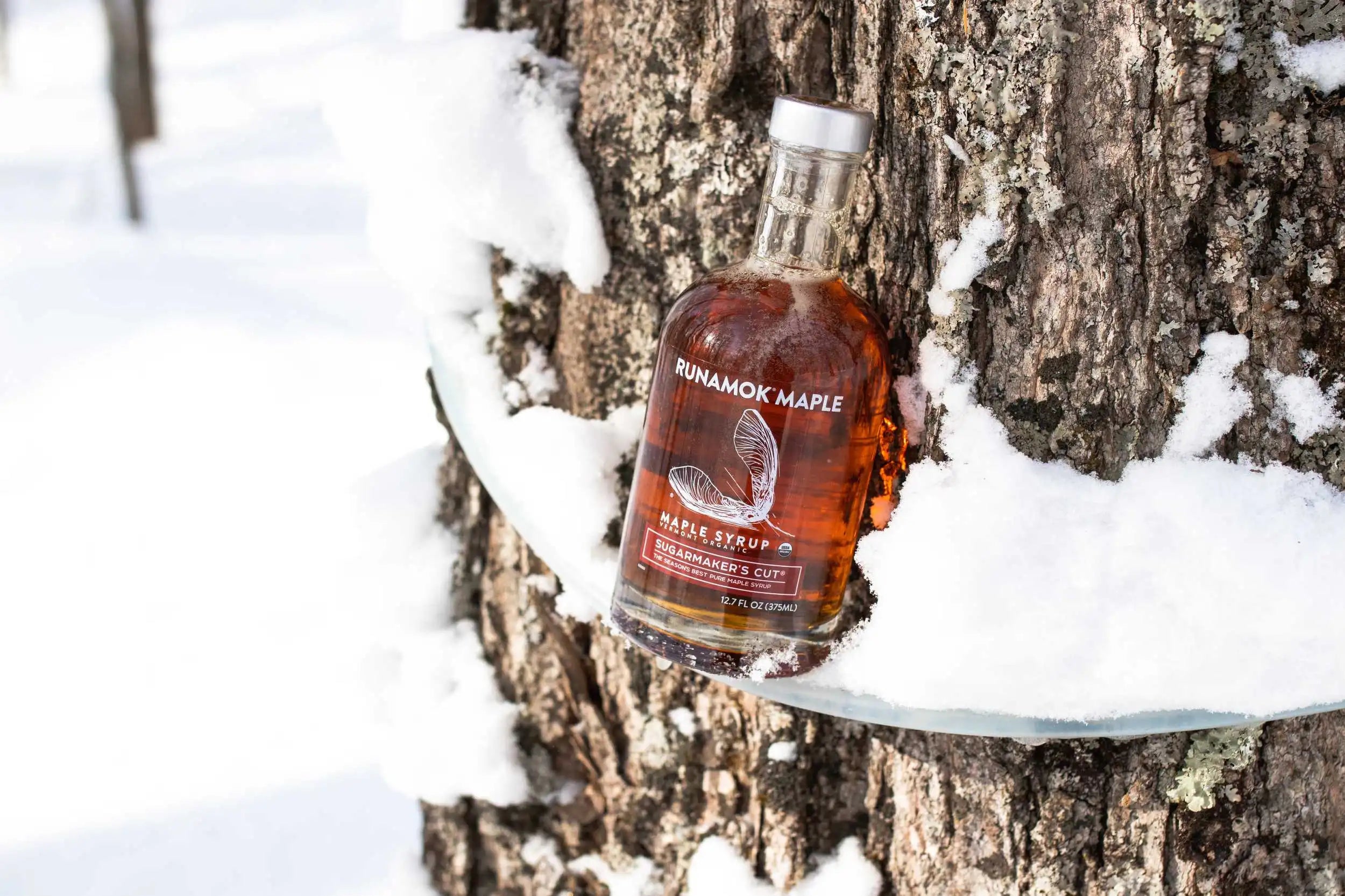 runamok maple syrup - sugarmakers-375-extra-section-1
